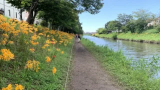 Thumbnail of post image 080